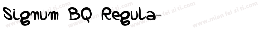 Signum BQ Regula字体转换